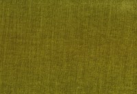 vano_kiwi-34.jpg