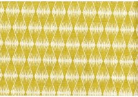 panka-06.jpg