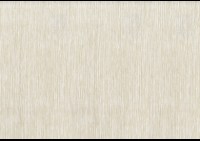 steppe-02.jpg