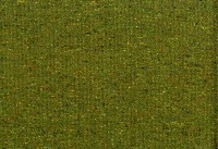 vano_taiga-113.jpg