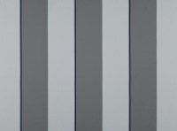 zinc_z365-02.jpg