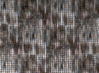 zinc_z379-02.jpg