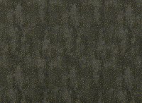 zinc_z449-05.jpg