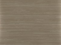 zinc_zw100-02.jpg