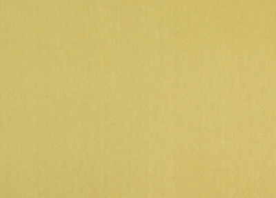designers_guild_f1632-25.jpg