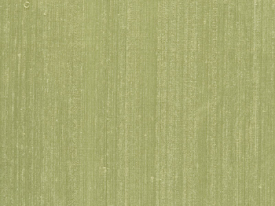 designers_guild_f1165-19.jpg