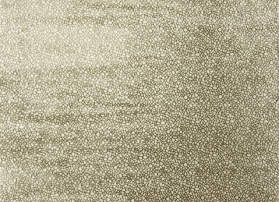 designers_guild_f1847-09.jpg