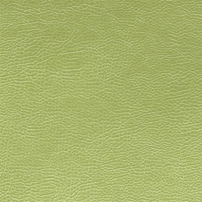 designers_guild_fdg2167-21.jpg