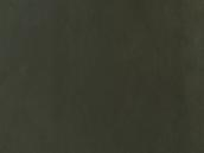 designers_guild_f1505-13.jpg