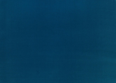 designers_guild_f1190-51.jpg