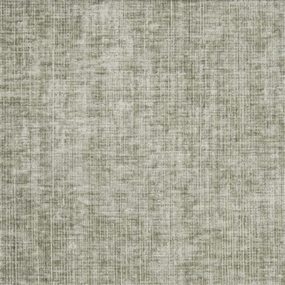 designers_guild_f2020-15.jpg