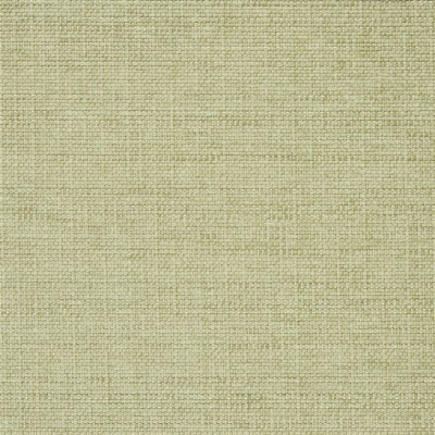 designers_guild_f2021-08.jpg