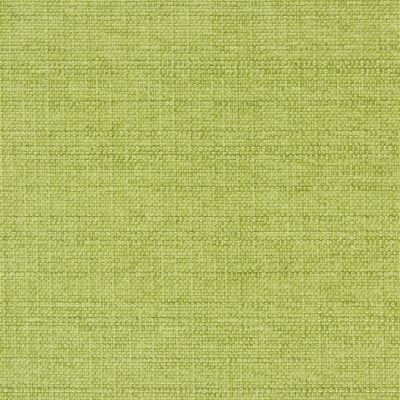 designers_guild_f2021-15.jpg