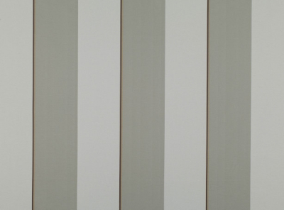 zinc_z365-01.jpg