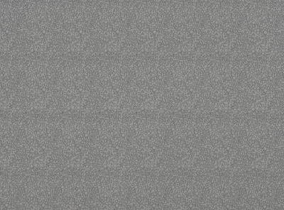 zinc_z173-01.jpg