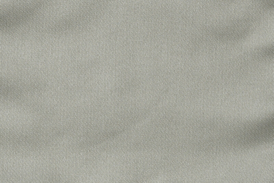 avienus_14221_105.jpg