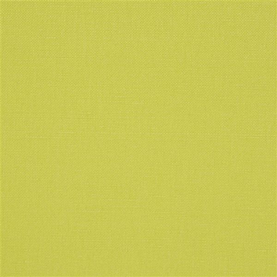 designers_guild_fdg2255-28.jpg