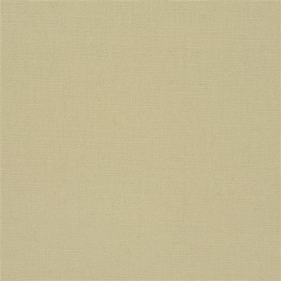 designers_guild_fdg2255-35.jpg