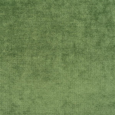 designers_guild_fdg2333-02.jpg
