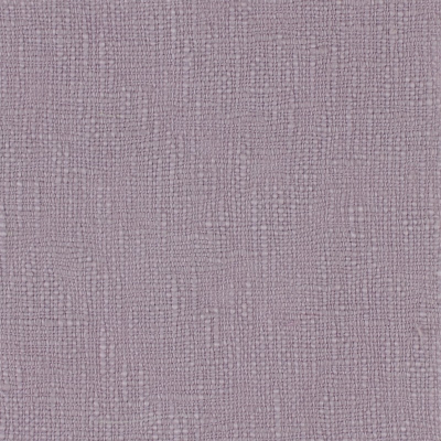 nobilis_50911.jpg