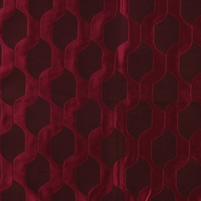 nobilis_10257-94.jpg