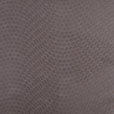 nobilis_10258-88.jpg