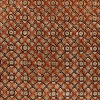 nobilis_10530-55.jpg