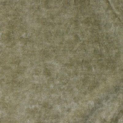 nobilis_10505-78.jpg