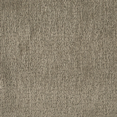 nobilis_10506-14.jpg