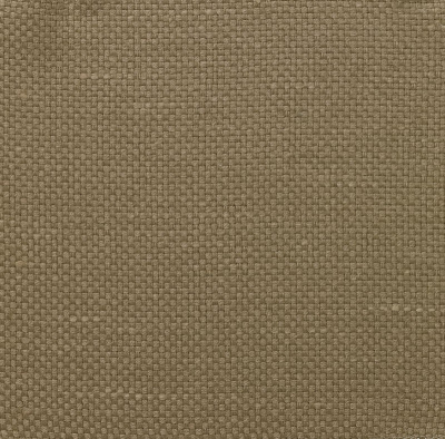 nobilis_10458-12.jpg