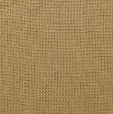 nobilis_10458-36.jpg
