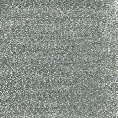 nobilis_10512-64.jpg