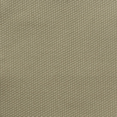nobilis_53109.jpg