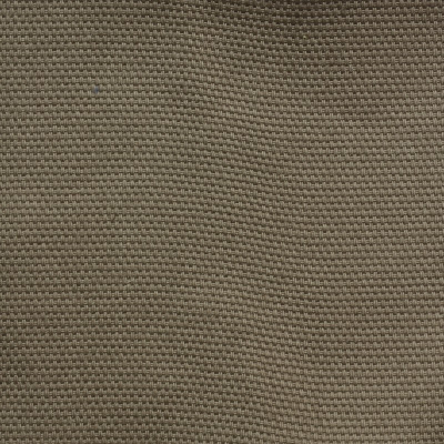 nobilis_53120.jpg