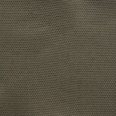 nobilis_53121.jpg