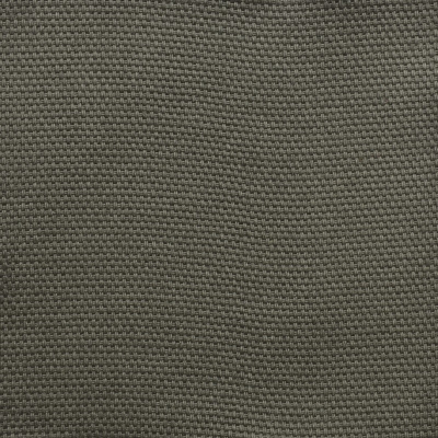 nobilis_53124.jpg