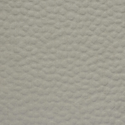 nobilis_51900.jpg