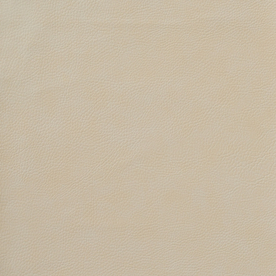 nobilis_10566-05.jpg