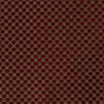 nobilis_10347-53.jpg