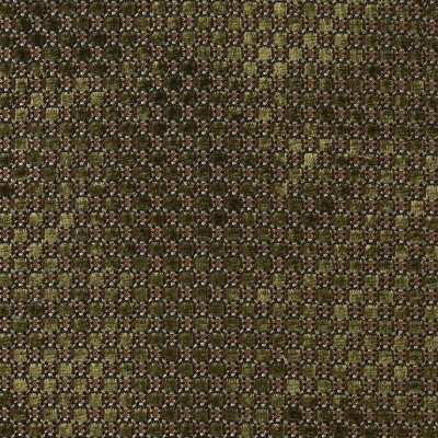 nobilis_10347-73.jpg