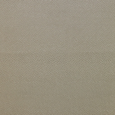 nobilis_10404-02.jpg