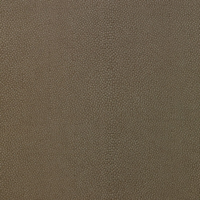 nobilis_10404-05.jpg