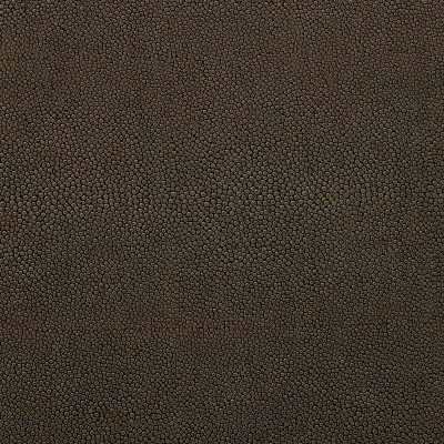 nobilis_10404-13.jpg