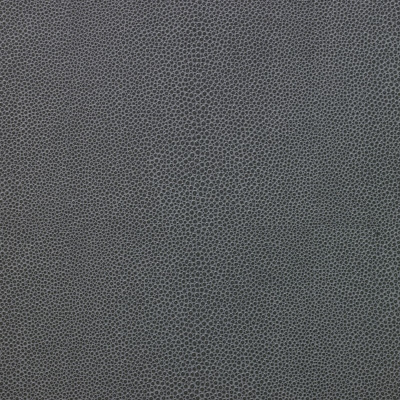 nobilis_10404-22.jpg
