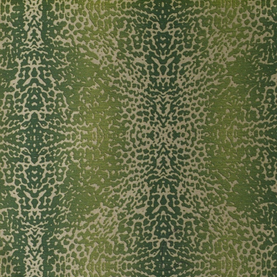 nobilis_10532-76.jpg
