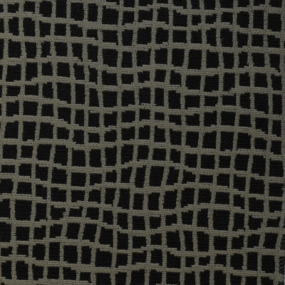 nobilis_10323-83.jpg