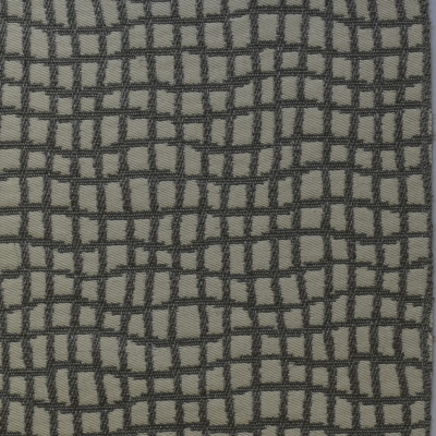 nobilis_10323-85.jpg