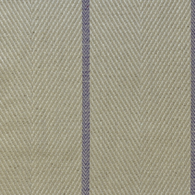 nobilis_10325-95.jpg