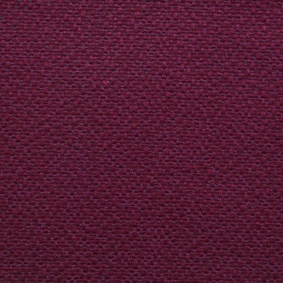 nobilis_10321-91.jpg