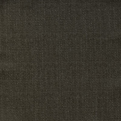 nobilis_10334-98.jpg